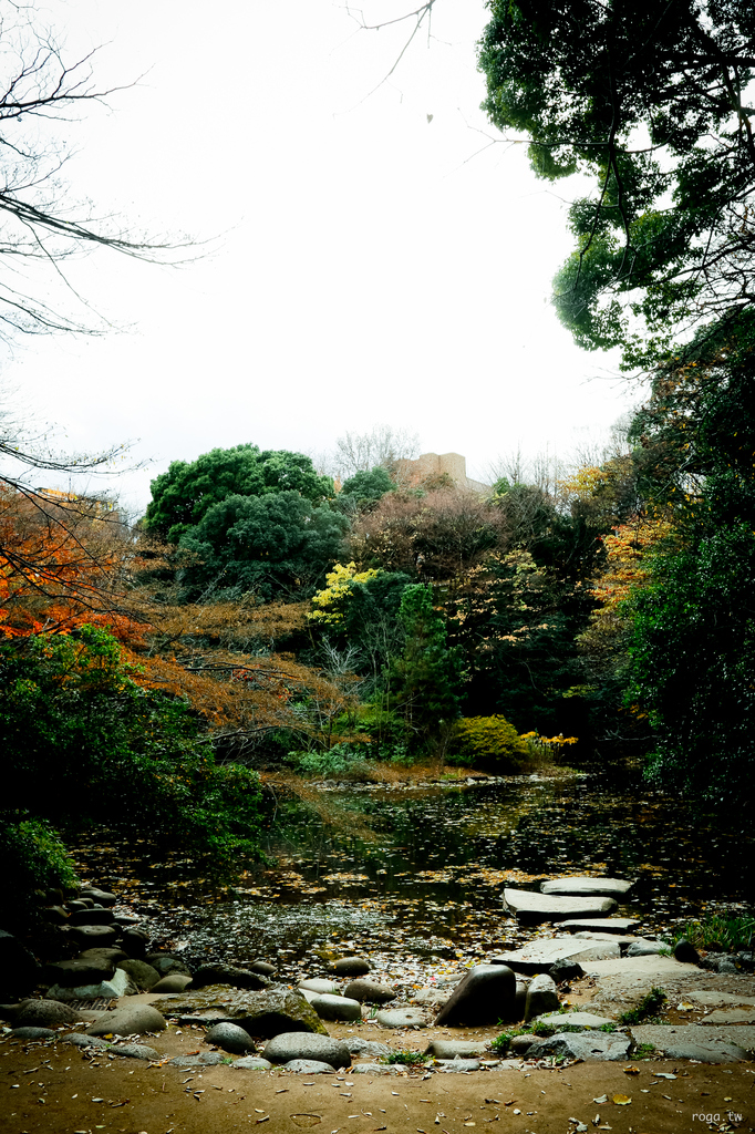 _MG_6585.jpg