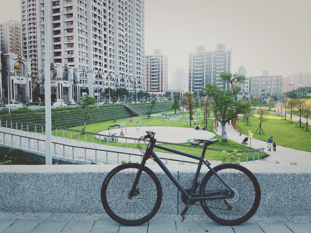 午後#cannondale #badboy
