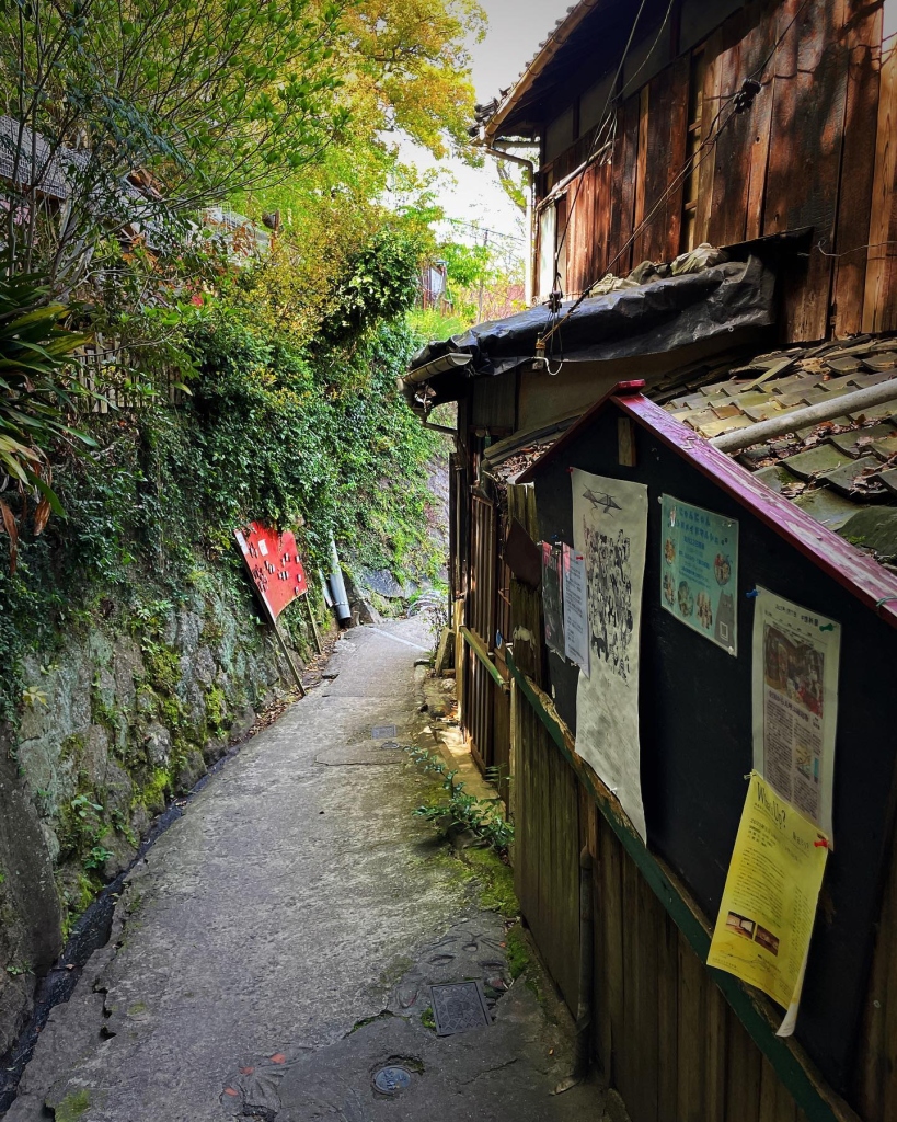 2023/04 猫の細道