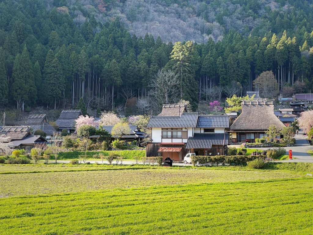 2023/04 美山