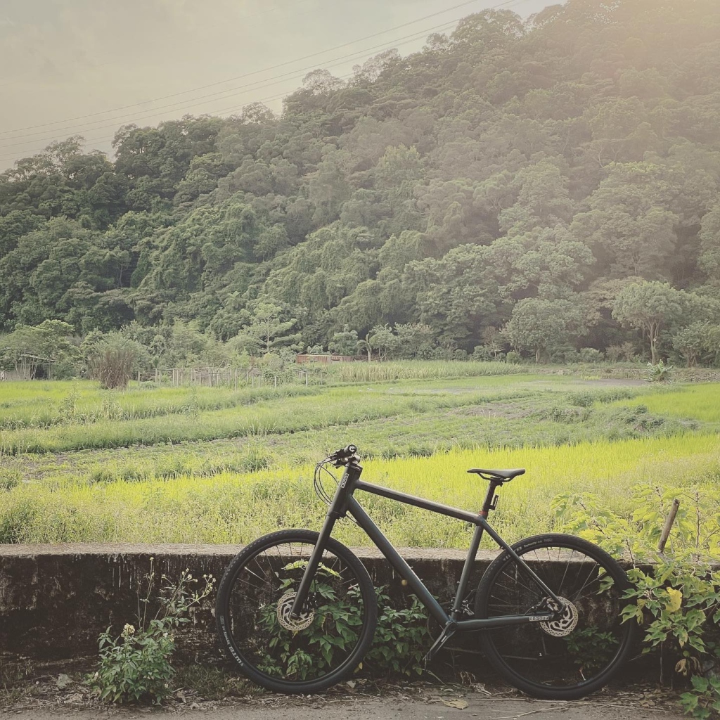 #cannondale #badboy