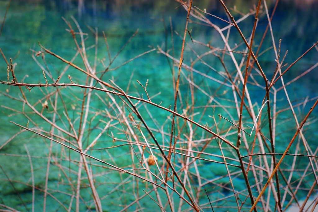 2007/02 四川