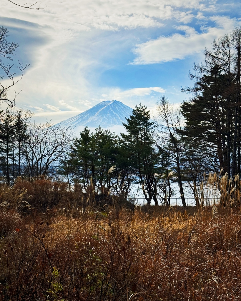 2023/12 富士山