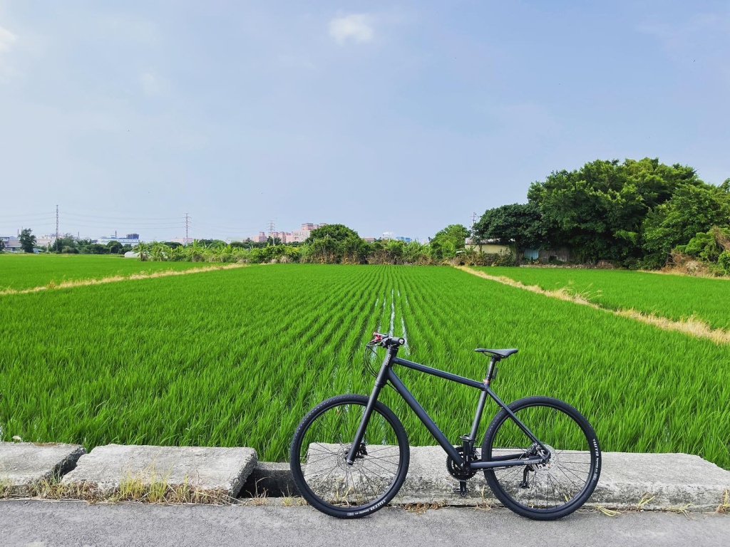 #cannondale #badboy