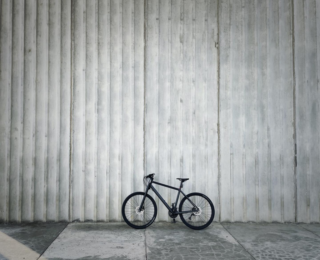 灰階#cannondale #badboy