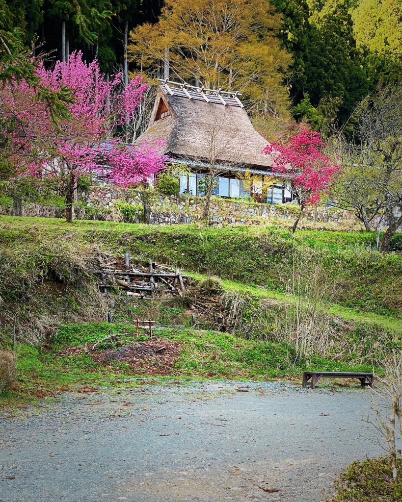 2023/04 美山