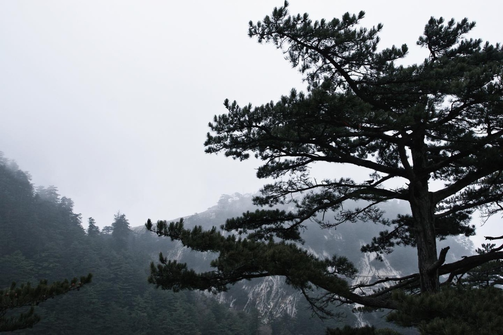 2007/01 華山