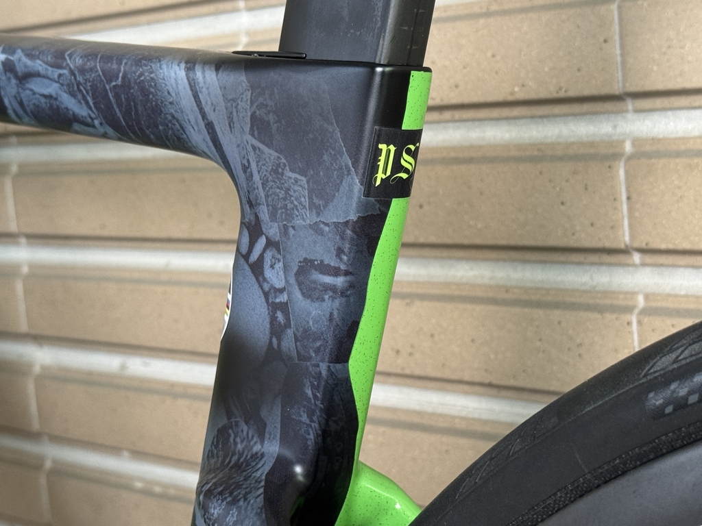 SAGAN-06.JPG