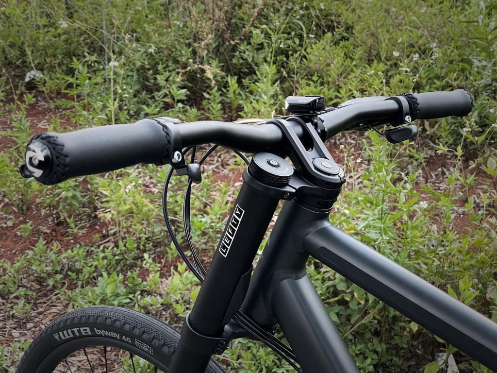 #cannondale #badboy