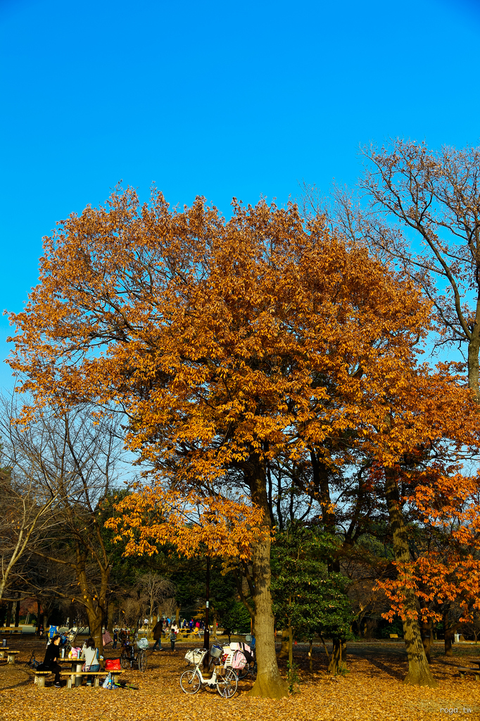 _MG_6564.jpg