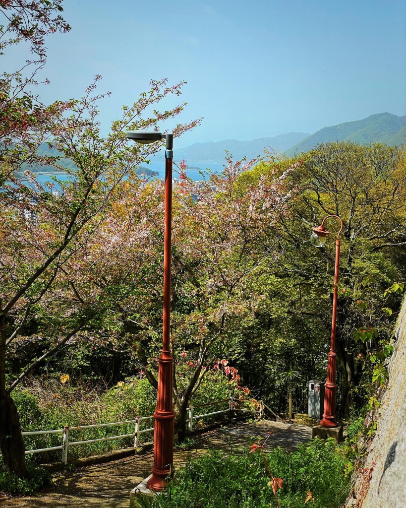 2023/04 尾道 半山腰